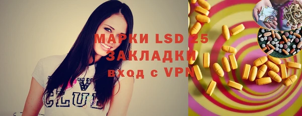 индика Алексин