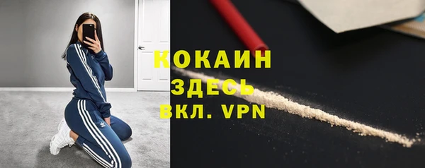 индика Алексин