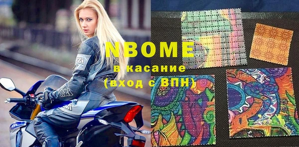 индика Алексин