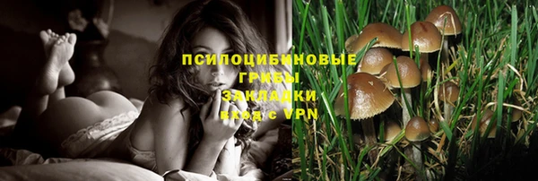 mdpv Алексеевка