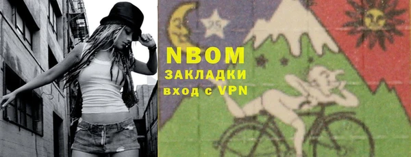 индика Алексин