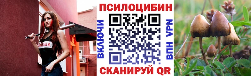 Галлюциногенные грибы MAGIC MUSHROOMS  Ярцево 