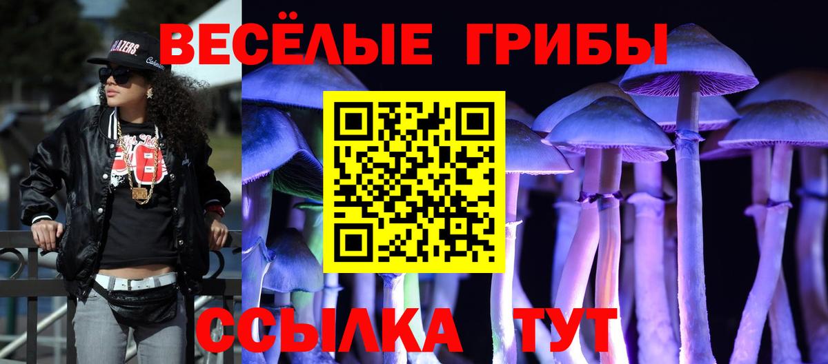 Псилоцибиновые грибы Psilocybine cubensis  купить   Ярцево  Вход с VPN 